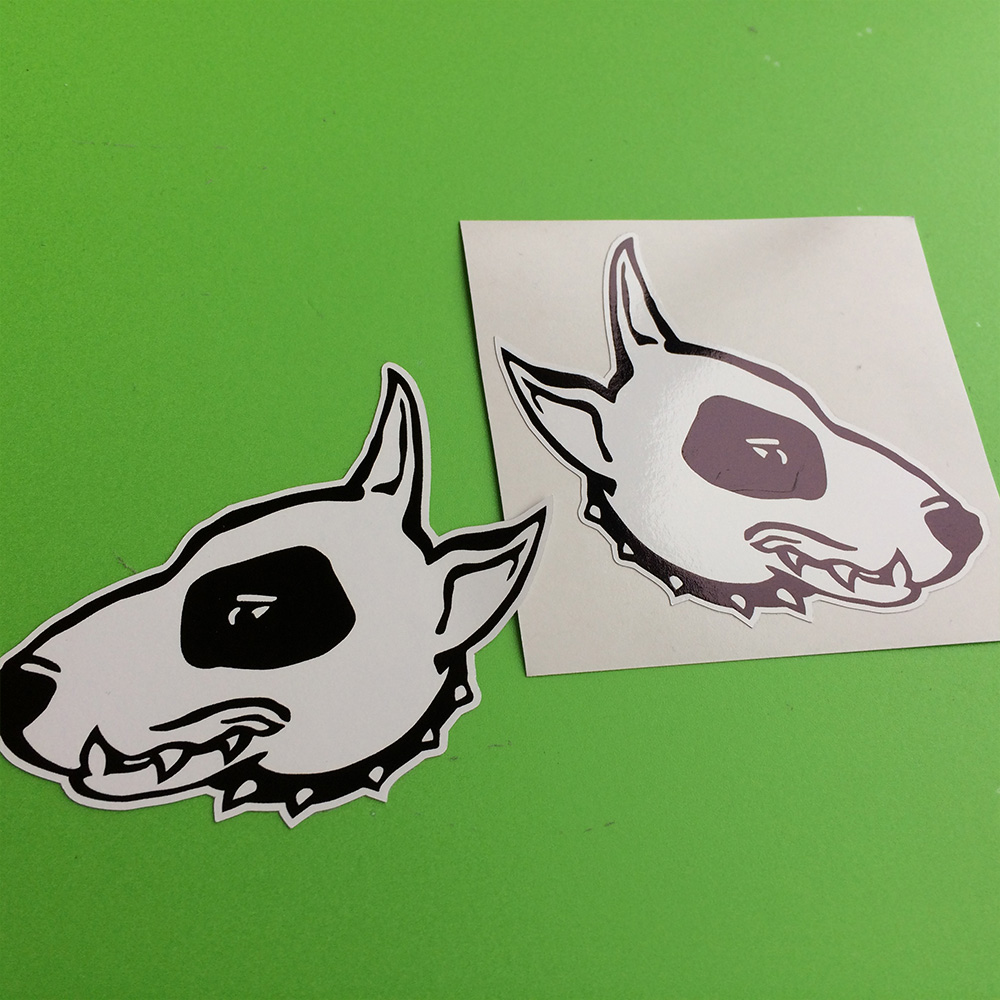 PIT BULL STICKERS. A white pit bull wearing a black studded collar. The eye area and nose are black.